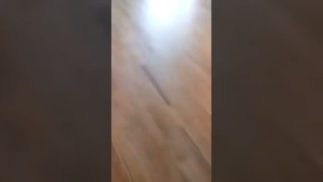 Выбеливание паркета
