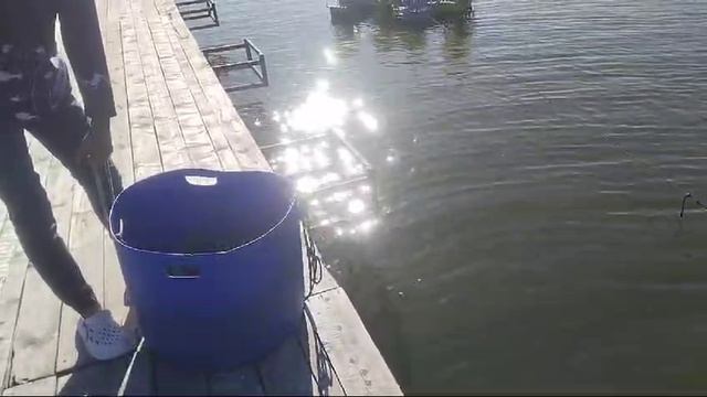 РК Три Пескаря! Video 2024-09-07 At 09.02.22