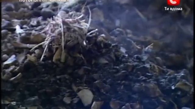 Правила життя. Громадське харчування (частина 1)