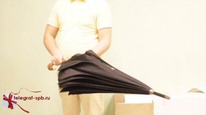 Элитный зонт - Bugatti