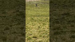 Отдых в Дагестане семьей | в Дагестан на машине