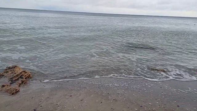 Одесса 26.01.2024. Ищу позитивные моменты. Расслабляющий морской прибой#ukraine #odessa смотреть онлайн