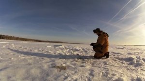 рыбалка на яузе с 26-27 января, рыболовная база олеля.