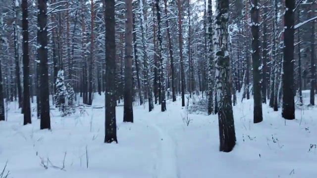 Как формируется зависимость от нарцисса. Дофамин 😉