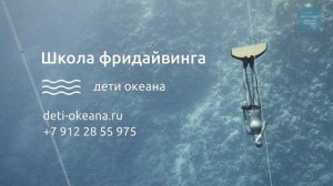 Фридайвинг на острове Монерон, Сахалинская область