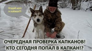 Охота на бобра. Очередная проверка капканов и новая добыча.