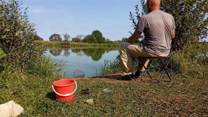 Рыбалка на карасей (crucian carp fishing)