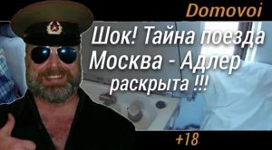 Тайна поезда Москва Адлер раскрыта!  Поездка на море | Domovoi