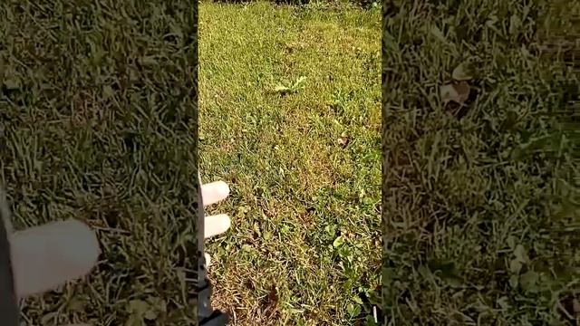 Р-Обувь 10. Ростов спорт смотреть онлайн