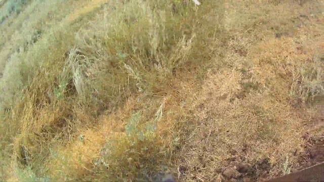 Коп металла, МЕСТНЫЕ СМЕЯЛИСЬ!? Говорили ТУТ НИЧЕГО НЕТ! но...... смотреть онлайн