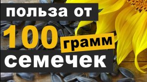 Насколько полезны семечки и в чем опасность этого продукта