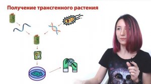 Задания №7 и 8 | Задания на последовательность из сборника Рохлова | ЕГЭ-2024 по биологии