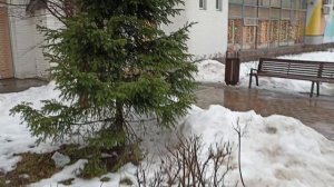 31 декабря 2023 г.