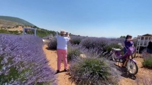 ЕДЕМ НА ЛАВАНДОВЫЕ ПОЛЯ В ТУРЦИИ. НЕВЕРОЯТНАЯ КРАСОТА В ГОРОДЕ ЫСПАРТА. ОТДЫХ В ТУРЦИИ АНТАЛИЯ
