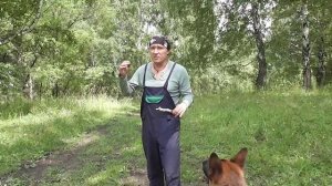 команда апорт