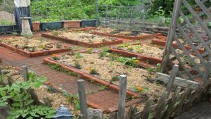 МАТЕРИАЛ для ОГРАЖДЕНИЯ ГРЯДОК в САДу и ОГОРОДе