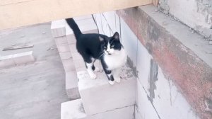 Перекрытие между этажами в частном доме.