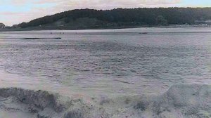 ЯДРИН старые кадры