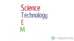 Что такое STEM-образование и как его применять на уроке