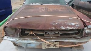 1967 Ford Mustang Project Car 2 Door Coupe