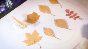 Брошки из осенних листьев и эпоксидной смолы ?