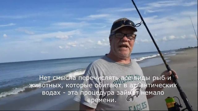Кондоминиум на Атлантическом океане, Сателлит Бич, Флорида, США.