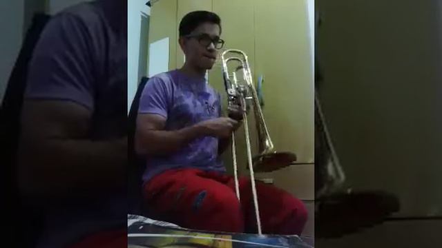 Um Burrinho Chorão - No trombone смотреть онлайн