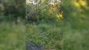 12.06.2023 18:38 [Увидел часть озера Безменковский Карьер]