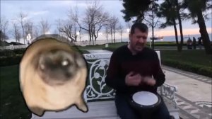 Мопс флексит под финскую польку.