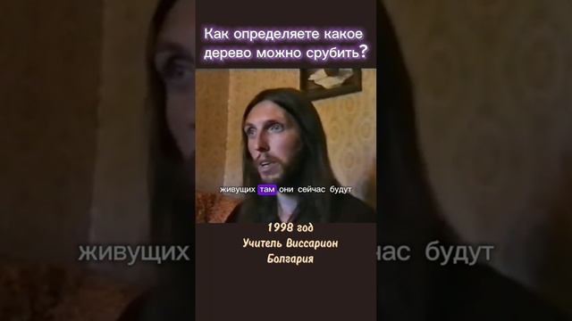 Как определяете какое дерево можно срубить? #виссарион #лес #деревья