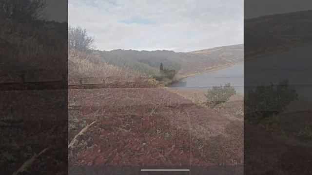 Таймыр