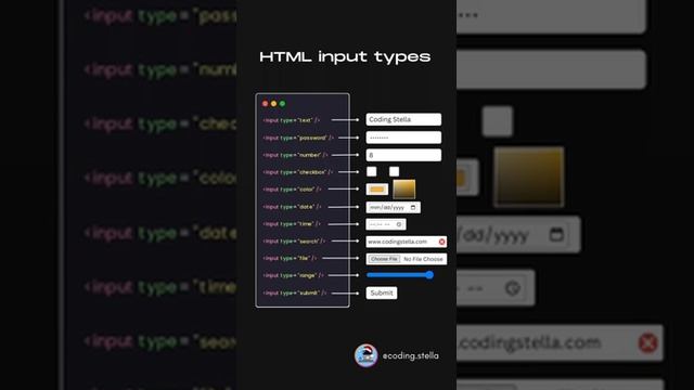 html input types