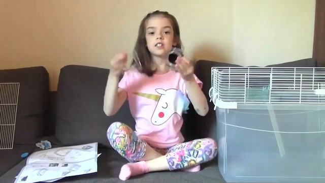 ОГРОМНЫЙ ДОМ Дюна для Сирийского ХОМЯКА/ Смешные хомяки/ видео про животных //Good toys