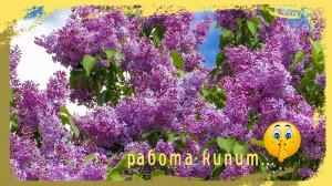 Коп железа у старой дороги. #Коп 28.