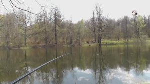 На Лесном Озере в Подмосковье, Рыбалка, Клевал только Ротан, Подводная съёмка, Fishing