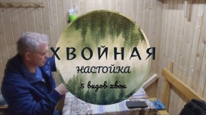 Хвойная настойка