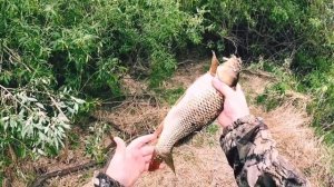 Лучшая рыбалка на паук 2022!!!