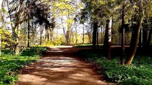 Парк Дача Верещагина.