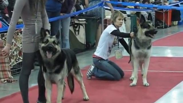 MVI 0024 смотреть онлайн