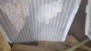 Ласка ходит!!!