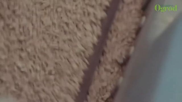 Как удобрять газон осенью смотреть онлайн