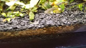 Аквариуму на земле 3 м. Просто прекрасный результат.