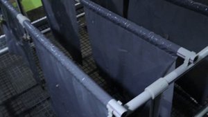 Улиточная ферма (Парк "Улитка" в Радошковичах) #snail #улиточнаяферма #интересныйфакт  #farm #ферма