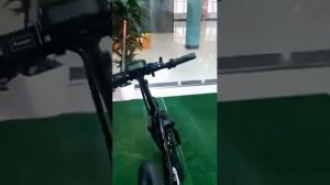 Электровелосипед с защитой от воды Zaxboard VG-500