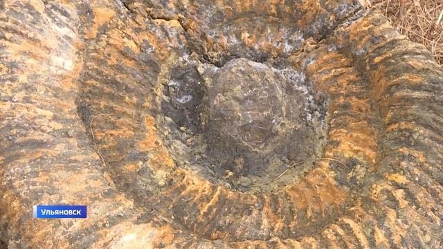Палеонтологи-любители из Москвы совершили путешествие в геопарк 