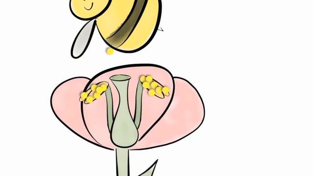 Flower Reproduction