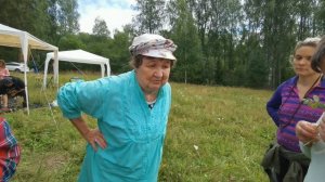 Хвощ зимующий