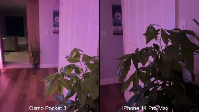 Low Light Comparison - DJI Osmo Pocket 3 vs iPhone смотреть онлайн