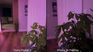Low Light Comparison - DJI Osmo Pocket 3 vs iPhone