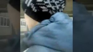 Олень тупой